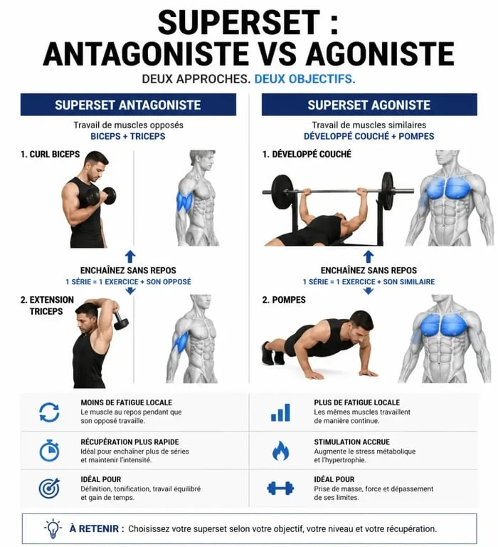 Schéma explicatif des types de superset musculation : agoniste vs antagoniste
