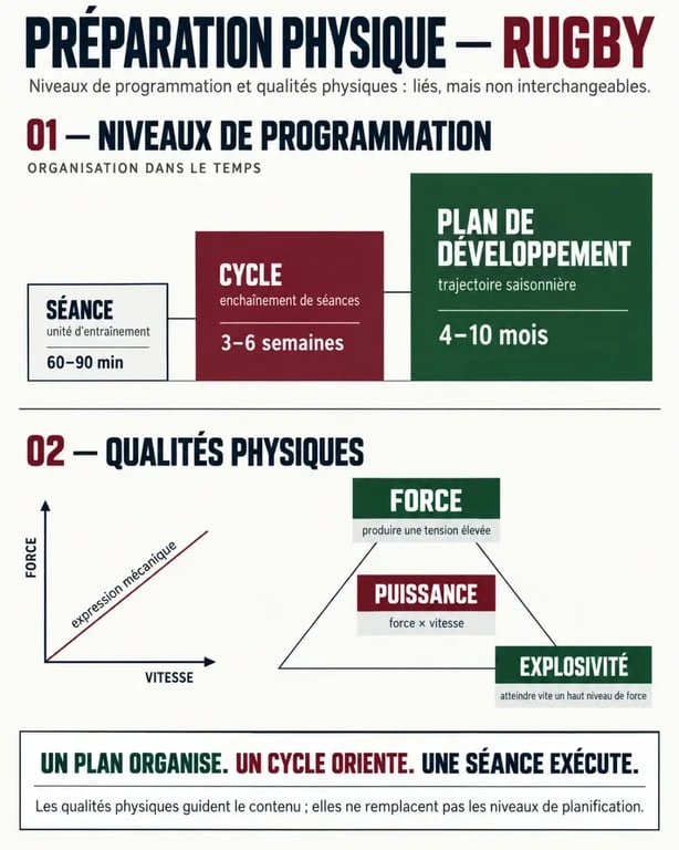 Infographie sur la préparation physique rugby distinguant séance, cycle, plan de développement, force, puissance et explosivité